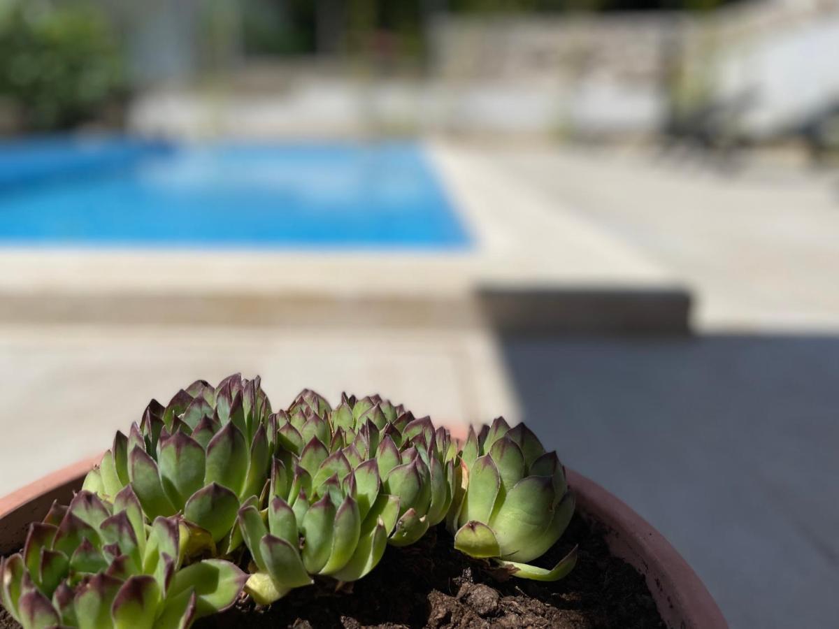 Apartments Maja Драмал Екстериор снимка